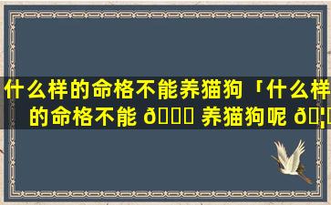 什么样的命格不能养猫狗「什么样的命格不能 🍀 养猫狗呢 🦄 」